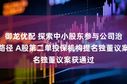 御龙优配 探索中小股东参与公司治理有效路径 A股第二单投保机构提名独董议案获通过