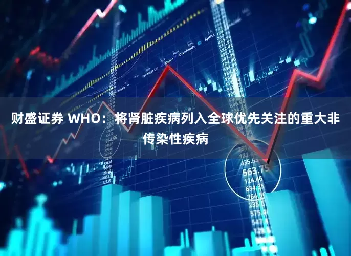 财盛证券 WHO：将肾脏疾病列入全球优先关注的重大非传染性疾病